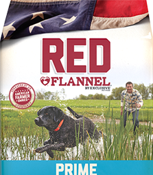 DISCOVER RED FLANNEL
