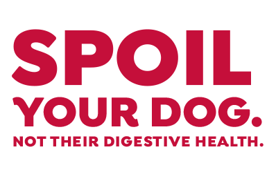 Spoil your dog not their digestive health